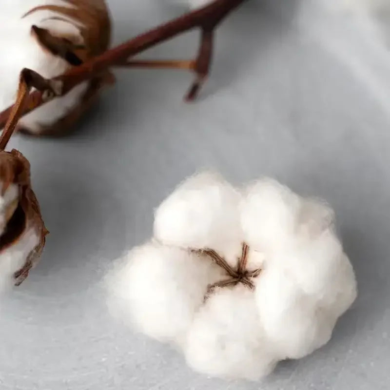 Falling in Reverse God Is A Weapon Tour 2025 Hoodies Men Women Gothic Casual Oversized Sweatshirt Vintage Aesthetic Hoody Autumn